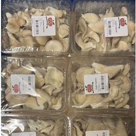 新鲜 平菇 鲜蘑 盒装 200g