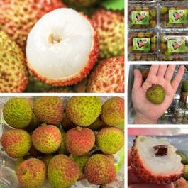 Lychee 500g