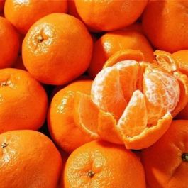蜜橘 1kg 